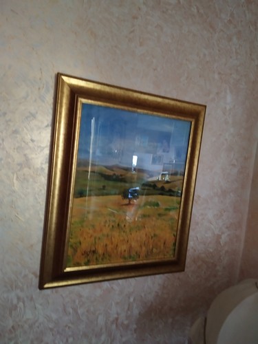 Quadro olio con cornice - olio,