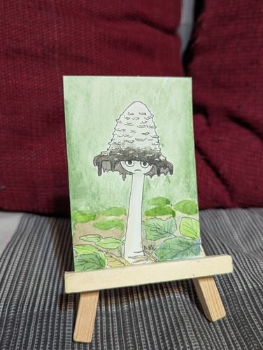 Aceo original mushroom - aceo,